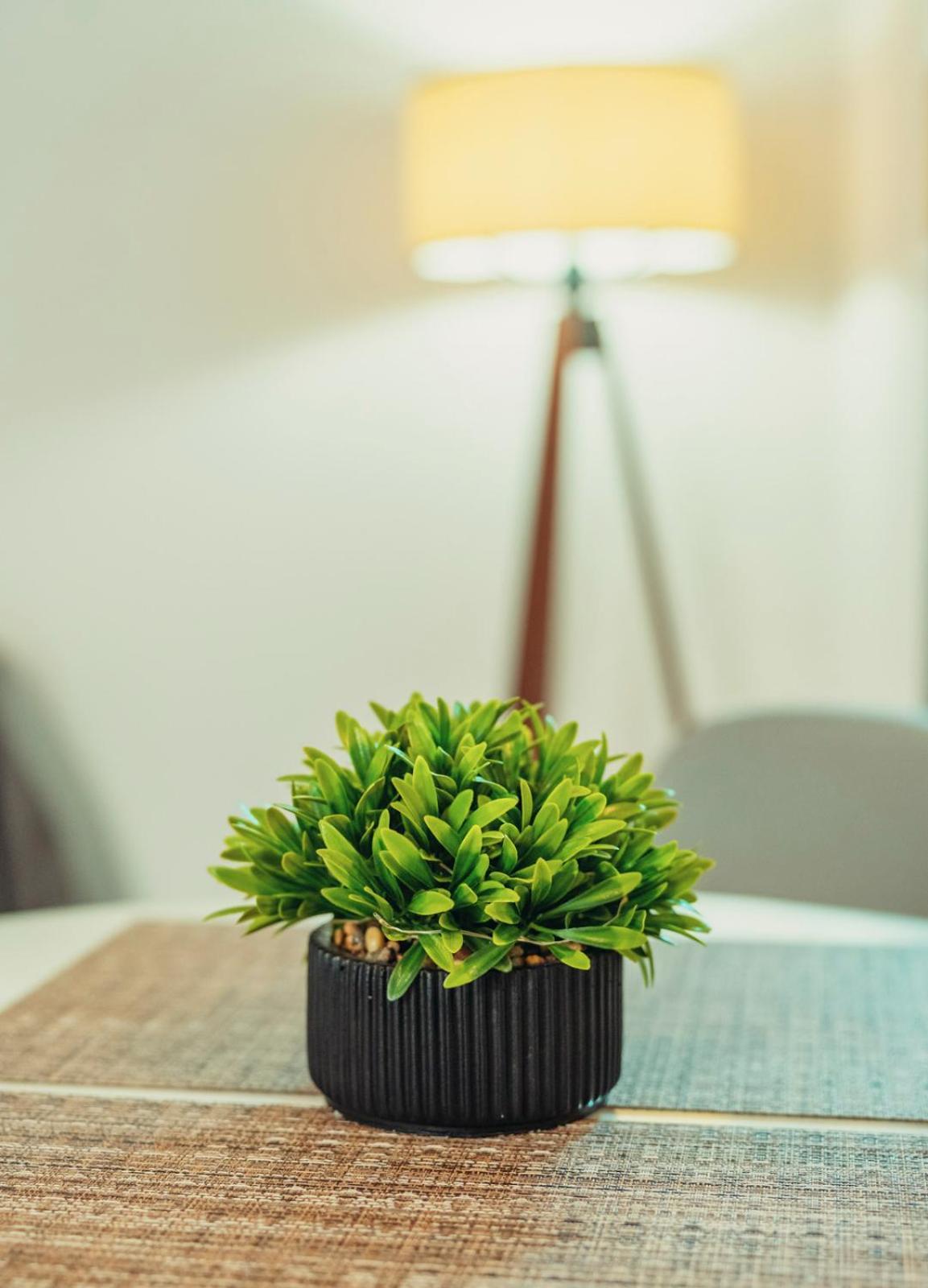 Crystal Cherry Apartment بريفيزا المظهر الخارجي الصورة